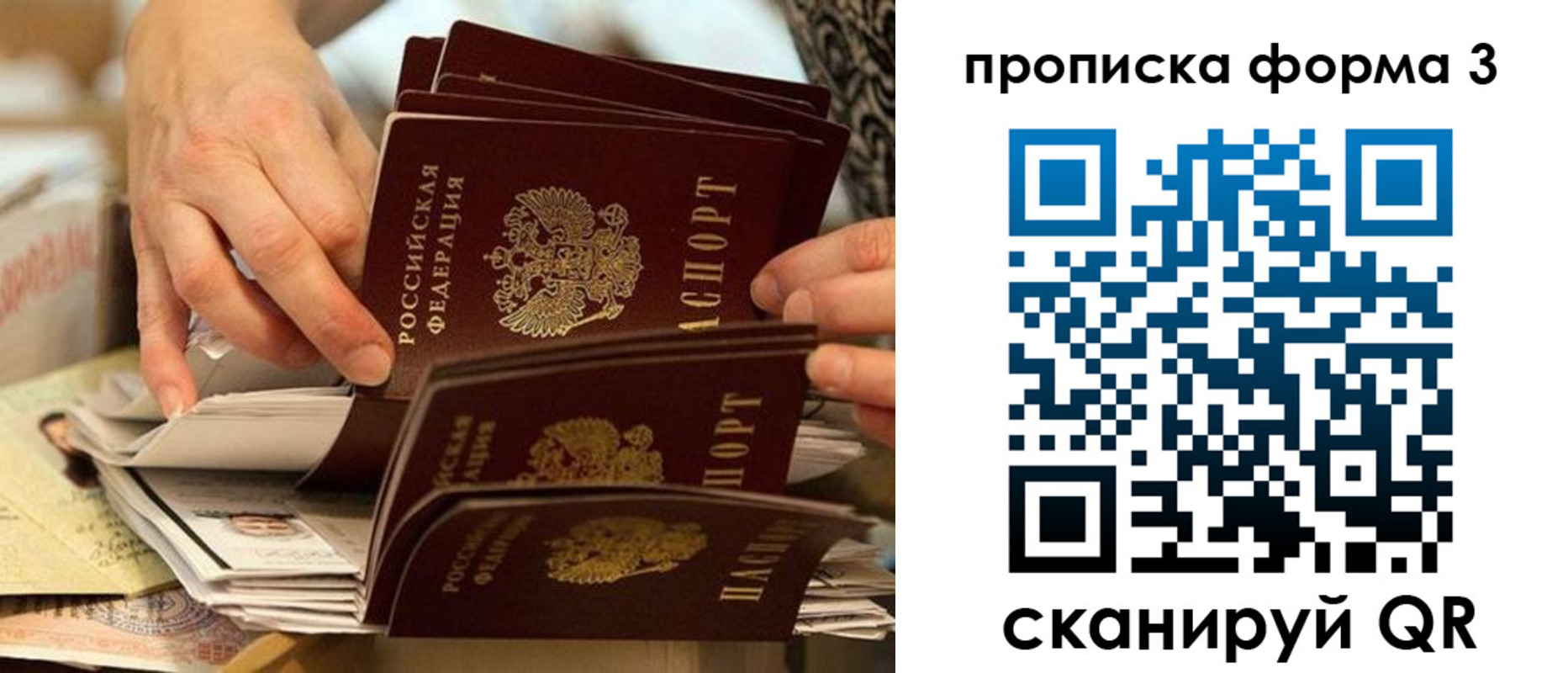 временная регистрация гарантия в Рошале